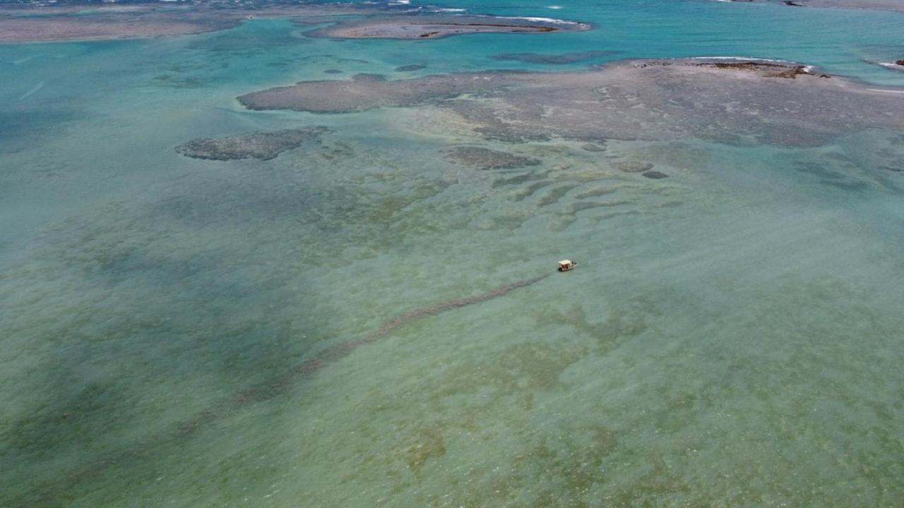 Chales Sol De Milagres São Miguel dos Milagres Eksteriør bilde